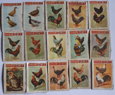 15 Vintage Etiketten Lucifersdoosjes/labels Matchboxes FORT : HOEDERS En EENDEN - Zündholzschachteletiketten