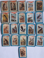 21 Vintage Etiketten Lucifersdoosjes/labels Matchboxes FORT : VOGELS - Zündholzschachteletiketten