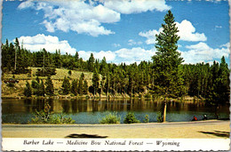 Wyoming Medicine Bow National Forest Barber Lake - Altri & Non Classificati