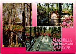 South Carolina Charleston Magnolia Plantation And Gardens - Charleston