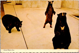 South Dakota Sioux Falls Great Plains Zoo The Bears 1979 - Sioux Falls