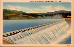 New York Catskills Gilboa Dam Overflow Curteich - Catskills