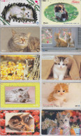 Lot  De 10 TELECARTES JAPON - ANIMAL - CHAT CHATS - CAT CATS JAPAN Phonecards - KATZE KATZEN Telefonkarten - 605 - Gatti