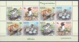 2018. Belarus, Chicks, S/s, Mint/** - Belarus