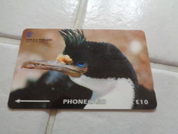 Falkland Islands Phonecard - Falkland Islands