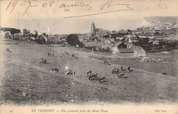 CPA - FRANCE - 76 - LE TREPORT - Vue Générale Prise Du Mont Huon - Vaches - ND PHOT - Le Treport