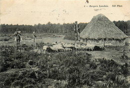 Landes * Bergers Landais * Types Personnage Métier * échassiers échasses - Autres & Non Classés