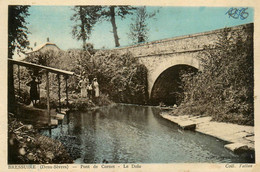 Bressuire * Petit Lavoir * Pont De Cornet Et Le Dolo * Laveuse - Bressuire