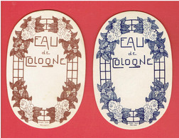 2 ETIQUETTES EAU DE COLOGNE VERS 1920 DECOR FLEURAL IMPRIMEUR JEANBIN A PARIS - Etiquettes