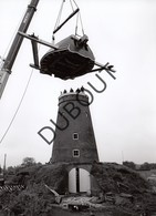 Pulderbos Molen/Moulin Originele Foto B25 - Zandhoven