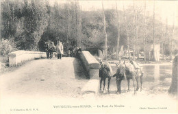 VOUNEUIL- SOUS- BIARD - Le Pont Du Moulin - Vouneuil Sous Biard