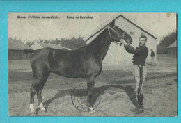 * Leopoldsburg (Limburg) * (Edit A. Aerts) Camp De Beverloo, Cheval D'officier De Cavalerie, Soldat, Armée, Caserne, TOP - Leopoldsburg (Camp De Beverloo)