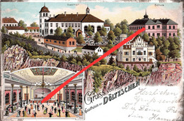 Litho AK Freital Gasthof Dölzschen Begerburg Plauenscher Grund A Dresden Plauen Coschütz Pesterwitz Potschappel Deuben - Pesterwitz