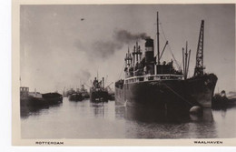 Rotterdam Waalhaven Port Gros Chalutiers - Fishing Boats