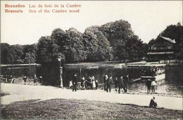 BRUXELLES - Le Lac Du Bois De La Cambre - Châlet Robinson - Forêts, Parcs, Jardins