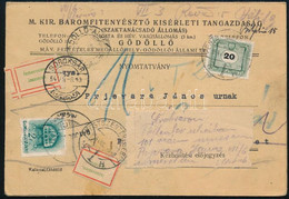 1941-1954 Érdekes Sorsú Portó Levél, 13 év Után ért Célba "GÖDÖLLŐ" - Budapest - Other & Unclassified