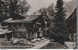 Delcampe - CHALET SCHWARZWALD ALP MIT ENGELHORNER CPSM BON ETAT - Wald