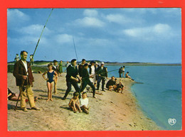 La COTE D'OPALE - Pêcheurs Dans La Baie - Carte Postée à AULT En 1960 - Picardie