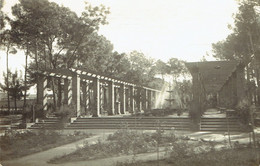 CPSM ALBACETE : Parque De Los Martires - Pergola - Albacete