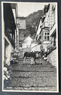 CLOVELIY: HIGH STREET, JuDGE/ Maultiere/ Fotokarte - Clovelly