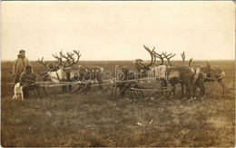 * T2/T3 1916 Tobolsk, Tobolszk; Nordic Sami (Laplander) Family With Reindeer.sleighs And Dog. Photo (EK) - Ohne Zuordnung