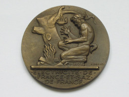 Médaille Electricité De France Et Gaz De France  **** EN ACHAT IMMÉDIAT **** - Professionnels / De Société