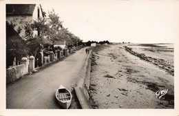 56 - SARZEAU - S05207 - Roaliguen - La Plage - L8 - Sarzeau