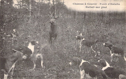 CPA - FRANCE - Chasse - Chasse à Courre - Environs De Senlis - Forêt D'HALATTE - HALLALI SUR PIED - Jagd