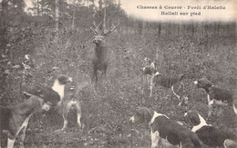 CPA - FRANCE - Chasse - Chasse à Courre - Environs De Senlis - Forêt D'HALATTE - HALLALI SUR PIED - Hunting