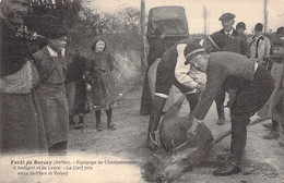 CPA - FRANCE - Chasse - Chasse à Courre - Forêt De BERCEY - Equipage De Champchevrier - Le Cerf Pris St Mars Et Volney - Hunting