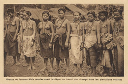 Ethnic Moi Tribe Nude Women Going To Work In The Fields . Exhibition Of Natives As Animals French Style Colonists - Asia