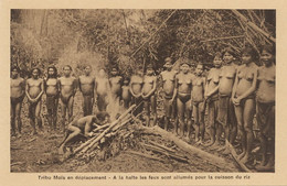 Ethnic Moi Tribe Nude Women And Men Preparing Rice . Exhibition Of Natives As Animals French Style Colonists - Asia