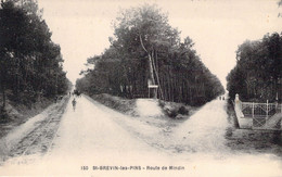 CPA - FRANCE - 44 - St BREVIN LES PINS - Route De Mindin - J Nozais - Saint-Brevin-les-Pins