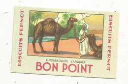 école , BON POINT, Dromadaire,  Afrique,  BISCUITS PERNOT , Pernotin , FRIAND PERNOT - Non Classés