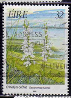 EIRE IRELAND IRLANDA 1993 FLORA ORCHIDS O'KELLY'S ORCHID 32p USED USATO OBLITERE' - Used Stamps