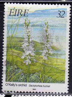 EIRE IRELAND IRLANDA 1993 FLORA ORCHIDS O'KELLY'S ORCHID 32p USED USATO OBLITERE' - Used Stamps