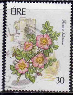 EIRE IRELAND IRLANDA 1990 FLORA GARDEN FLOWERS ROSA X HIBERNICA 30p USED USATO OBLITERE' - Used Stamps