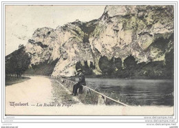 WAULSORT ..-- Rochers .1905 Vers SAINT - GERARD ( Melle Germaine PARMENTIER )  Voir Verso . - Hastière