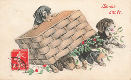 Chiens Teckel Dachshund * CPA Illustrateur * Chiot Dog Dogs Chien * Vienne Viennoise N°2559 * Panier - Perros