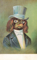 Chien Cavalier King Charles Humanisé * CPA Illustrateur * Homme élégant Mode Chapeau Hat Monocle * Chiot Dog Dogs Chien - Perros