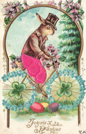 Lapin Humanisé Cycliste * CPA Illustrateur Gaufrée Embossed 1905 * Lapins Rabbit * Joyeuses Pâques Oeufs Cycle Vélo - Sonstige & Ohne Zuordnung