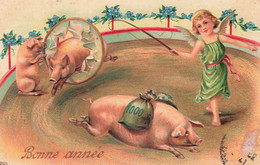 Cochons Humanisés * CPA Illustrateur Gaufrée Embossed * Cirque Circus Ange Angel Angelot Monnaie Pig Cochon - Schweine