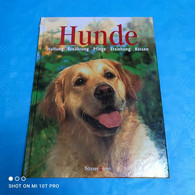 Hunde - Animales