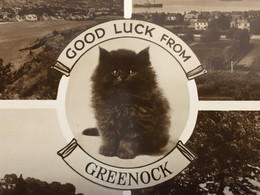 Good Luck From Greenock Renfrewshire Scotland ~1920-30s Lovely Cat, Unused Postcard. Publisher Valentine & Sons - Renfrewshire