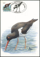Carte-maximum (CM) - N°3087 Oiseaux (A. Buzin) - 2001-2010