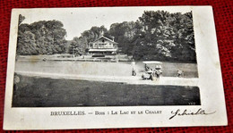 BRUXELLES -   Bois : Le Lac Et Le Chalet - Forêts, Parcs, Jardins