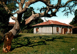 CPM - LANDES - Ferme Landaise ... Edition Yvon - Fermes