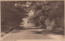 BOURNEMOUTH ROAD New Forest - Bournemouth (from 1972)