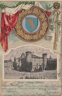 TORINO - 1905 - FLAG Decorated - Embossed Postcard - Palazzo Madama