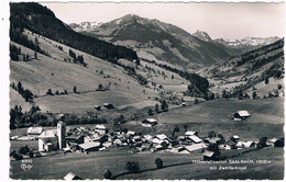 A-5682  SAALBACH : Mit Zwölferkogel - Saalbach